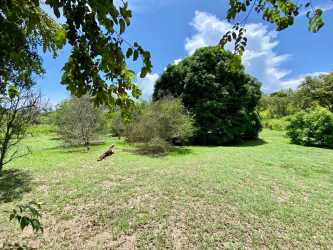 Expansive developable land with greenery El Higo San Carlos