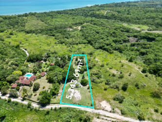 5,343 m² Countryside & Beach Land in San Carlos Panama