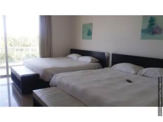 Massive lagoon swimming pool with palm trees at Playa Blanca Beach Resort Panama