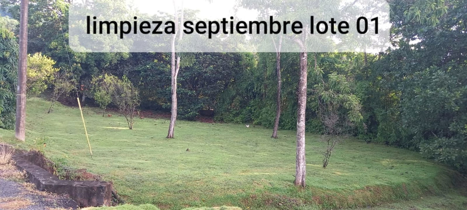 Large vacant lot bordered by trees with clear open buildable area in Tocumen Panama City