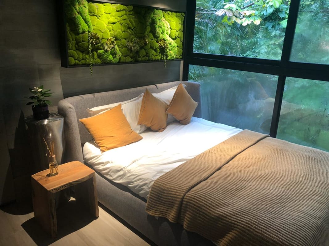 Bedroom featuring garden view large window moss wall decor PH DOVLE Panama City