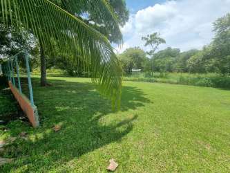 Open grassy 1,000m² plot framed by mature palm and tropical trees near ocean in Coronado