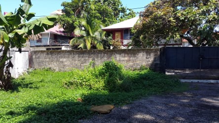 Secured vacant lot with metal gate and banana plants in downtown Colón