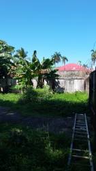 Lush garden yard with boundary wall and banana trees in Colón city center