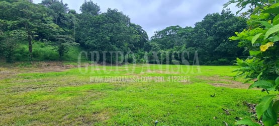 Green natural land lot surrounded by native trees perfect for home in El Valle Panama