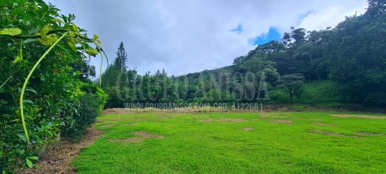 Natural flat lot with surrounding trees perfect for building in El Valle Panama