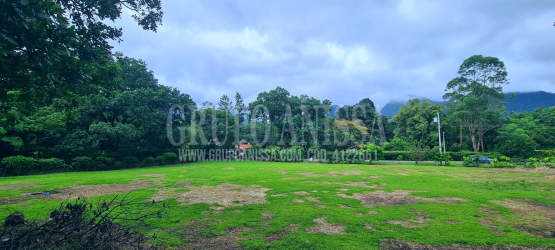 Green cleared lot surrounded by forest under blue sky in El Valle de Anton Panama