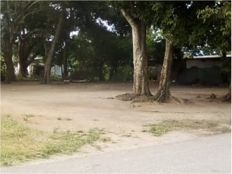 Open flat dirt lot with mature trees and partial grass close to Playa Blanca beach in Río Hato Panama