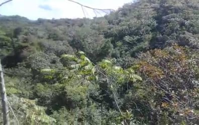 Dense green hillside covered in native vegetation and trees in Veraguas Panama