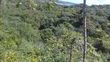 Titled 6.5 ha Agricultural Land near Santiago, Veraguas