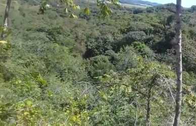 Unpaved road with vegetation and utility lines leading to agricultural land