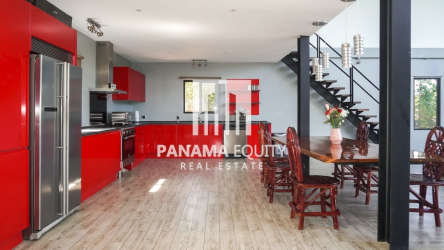 Contemporary kitchen with German cabinets and stainless appliances in San Carlos Panama