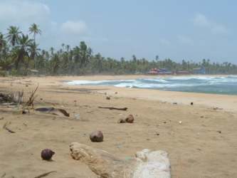 Sandy tropical beach with waves, palm trees, and rocks near Costa Arriba land for sale in Panama