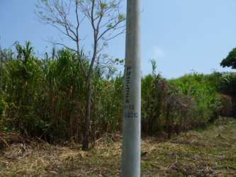 Open and wooded portions of large beachfront development land in Viento Frio Colon Caribbean Panama