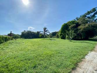 Flat vacant land with palm trees and blue sky near Nueva Gorgona beach Panama