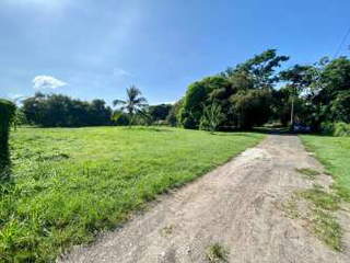 Land for Sale in Nueva Gorgona - 0 bedrooms