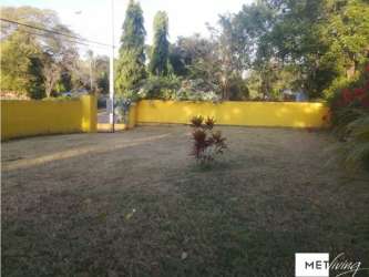 Bright fenced yard with mature flowering tree and grass Las Lajas Chame Panama