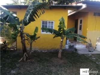 Lush garden space fenced with yellow wall and grassy lawn in Las Lajas Chame Panama