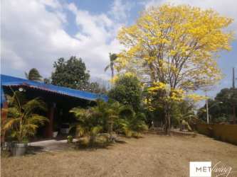 Covered outdoor patio with hammocks, banana tree, and rustic country charm in Las Lajas Chame Panama