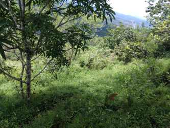 Panoramic forest and mountain view from agricultural land in Buena Vista Colón Panama