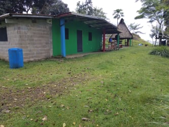 Country house with green exterior, metal roof and thatched gazebo on a grassy landscape in Buena Vista, Colón, Panama