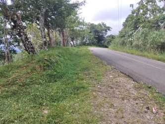 Paved rural highway with lush vegetation roadside leading to cattle farm Buena Vista Colón
