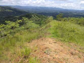 Rolling hills, lush forest and distant mountains panorama of agricultural land in Colon Panama
