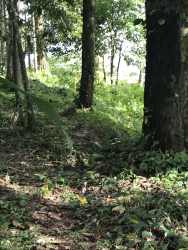 Serene creek flowing within 6.3 hectare farm land near Volcán, Bugaba Panama
