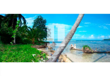Tropical sandy beach Caribbean ocean coconut palms Isla Grande Portobelo Colon Panama