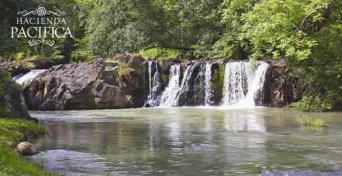 Natural waterfall amid rocks and lush greenery inside Hacienda Pacifica San Carlos