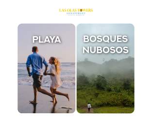 Split image showing beach coastline and misty mountain cloud forest near Las Olas Towers Panama