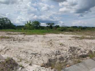 Paved interior subdivision road bordered by green hedges Costa Esmeralda San Carlos Panama