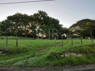 Large flat grassy land with fencing and mountain views inside Las Uvas gated community Panama