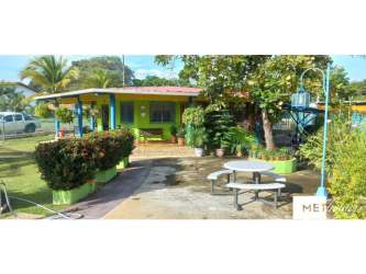 Large fenced yard with palms, pool and garden tropical house Gorgona Panama