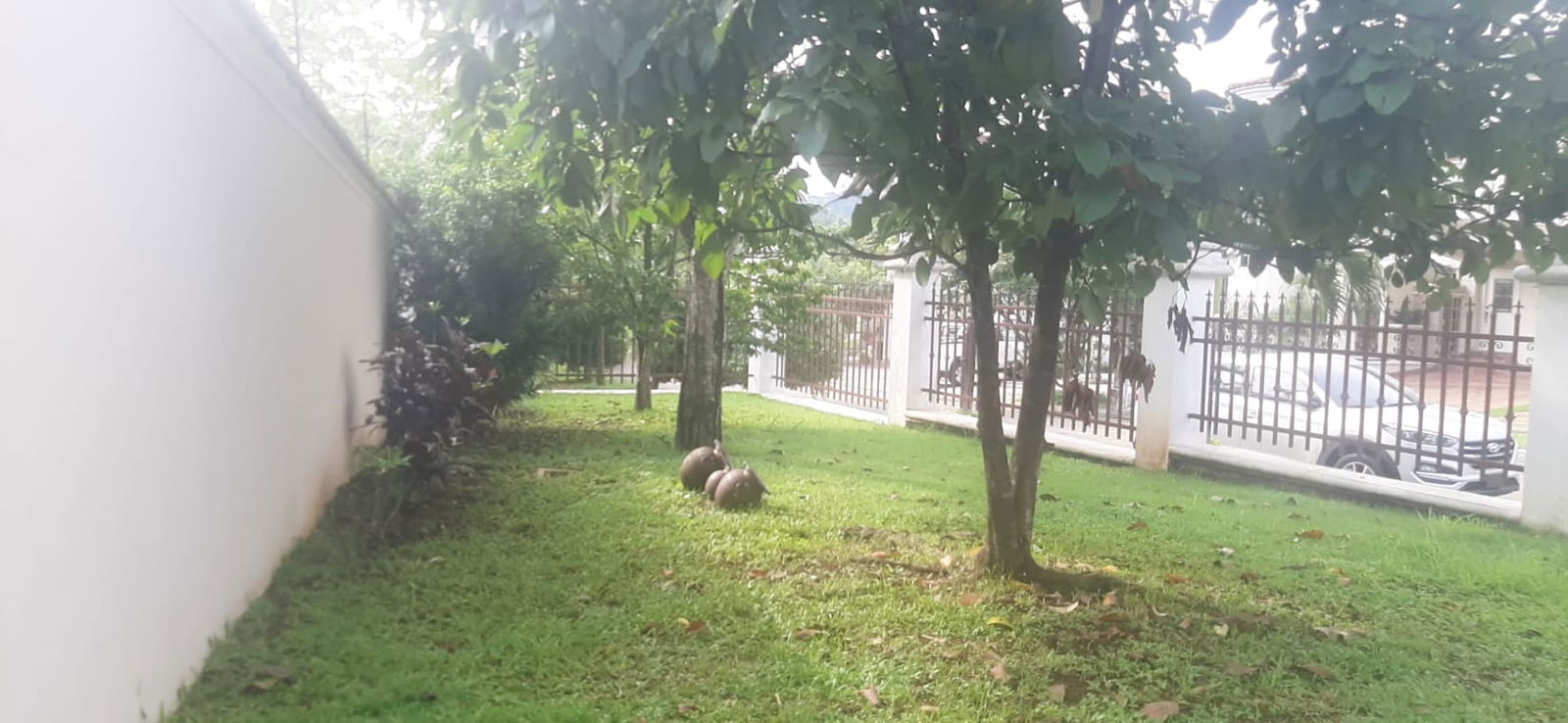 Spacious 4BR Home with Terrace in Rainforest Villas