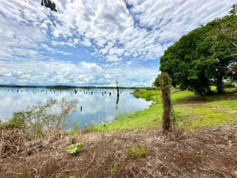 Tranquil lakeshore with trees and sandy beach area on island La Arenosa Panama