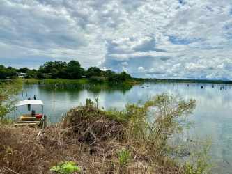 Water edge of private island ideal for boat dock on Lake Gatun Panama
