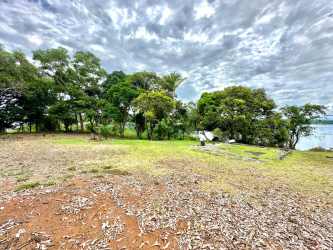 Cleared buildable section of island land with tree lined backdrop Lake Gatun Panama