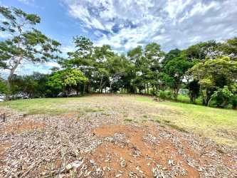 Lake coastline with lush vegetation on private island La Arenosa Panama