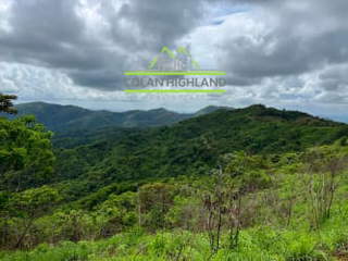 Land / Farm for Sale in Pitaloza - 0 bedrooms