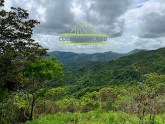 Grass pastures surrounded by forested hills in Los Pozos Herrera mountain estate