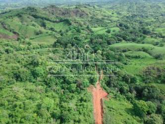 Brizantha and Brachiaria grass fields on gently sloping rural pasture land in Panama countryside