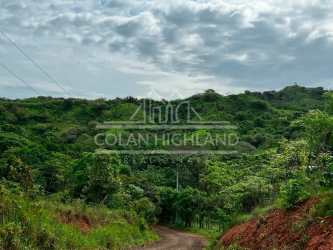 Farm with multiple creeks, natural water sources and green terrain in Panama countryside