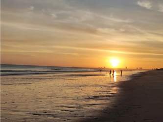 Balcony with glass railing overlooking palm trees and Pacific Ocean Playa Caracol Panama