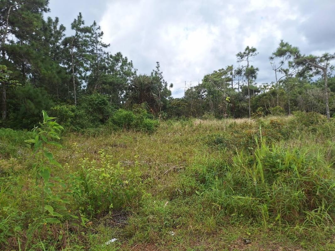 Rural unpaved road leading to large mountain lot in Cerro Azul Panama near Panama City