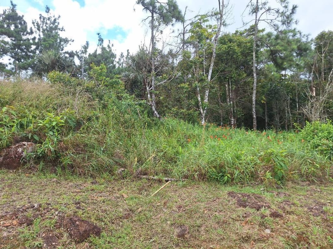 Road access with utility poles leading to land lot in Cerro Azul gated mountain community Panama