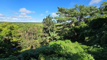 Aerial rural farmland marked boundary near river and forest for sale in Chiriquí Panama