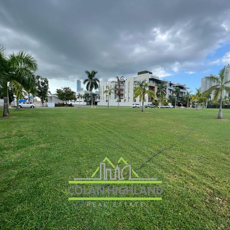 Green open lot with palm trees fronting ocean marina on Ocean Reef Islands Panama