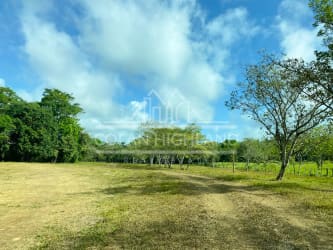 Rural Panama farm with livestock corrals, fencing, trees and open land