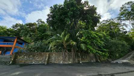 Lush greenery with beachfront view Limones Barú Chiriquí Panama